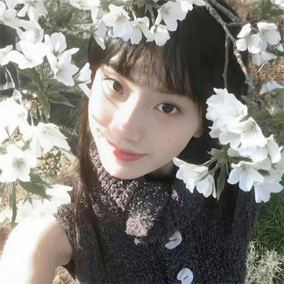 孤鸾慈泪
